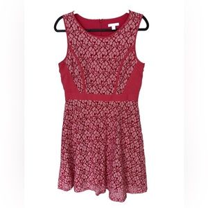 New York & company dress Pink Eyelet Lace Lined size 10